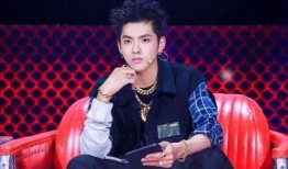 吴亦凡爆料圈内,一场关于名利与真相的博弈